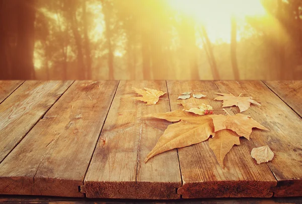 Herbst Hintergrund mit abgefallenen Blättern — Stockfoto