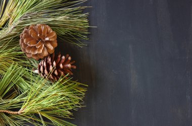 çam kozalakları dekorasyon için Noel ve yazı tahtası.