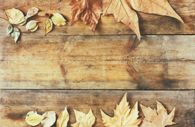 sonbahar yaprakları üzerinde ahşap dokulu arka plan görüntüsünü Üstten Görünüm.