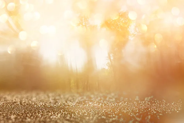 Abstraktes Foto von Licht platzt zwischen Bäumen und glitzernden Bokeh-Lichtern. Bild ist verschwommen und gefiltert — Stockfoto