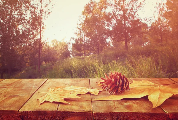 Hösten bakgrund med fallna blad — Stockfoto