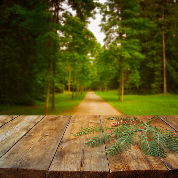 Autumn background with rowan