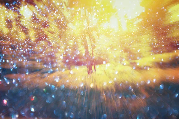 光突发树木和闪光散景灯之间的抽象照片。图像是模糊和筛选. — 图库照片