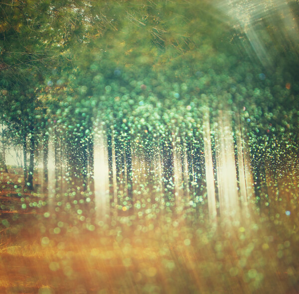 Abstract photo of light burst among trees and glitter bokeh lights. image is blurred and filtered . double exposure.