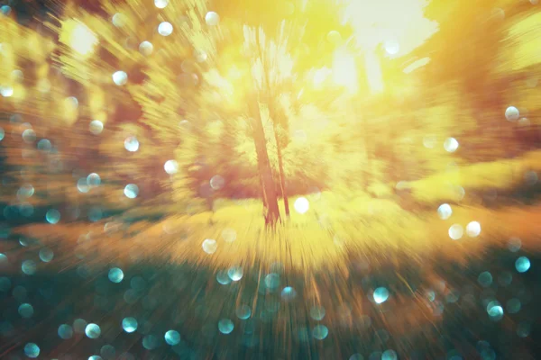 Foto astratta di luce scoppiata tra gli alberi e luci scintillanti bokeh. immagine sfocata e filtrata . — Foto Stock