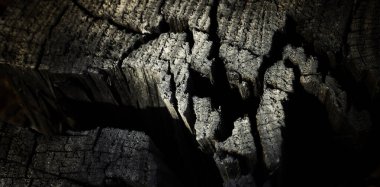 Tahta desenli dış yüzeyin soyut arkaplanı