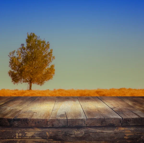 Tavolo davanti allo sfondo dell'albero — Foto Stock