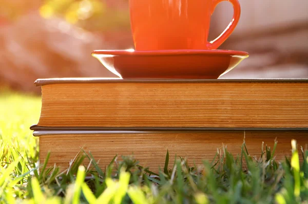 Taza de café y libro — Foto de Stock