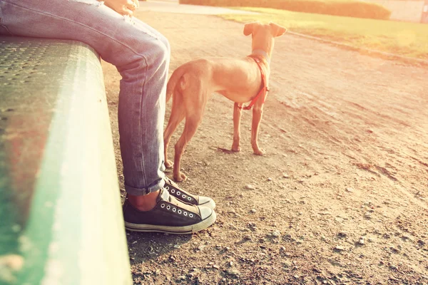 Person med sin hund. — Stockfoto