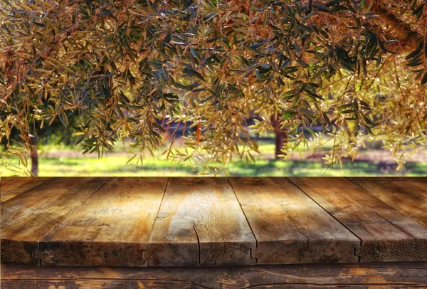 Table in front of forest landscape — Stock Photo, Image