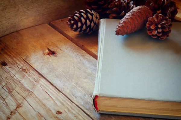 Старая книга с конусами — стоковое фото