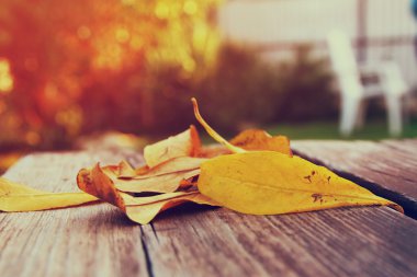 Üstten Görünüm görüntüsünü ahşap masa üzerinde sonbahar yaprakları.