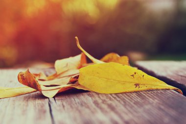 Üstten Görünüm görüntüsünü ahşap masa üzerinde sonbahar yaprakları.