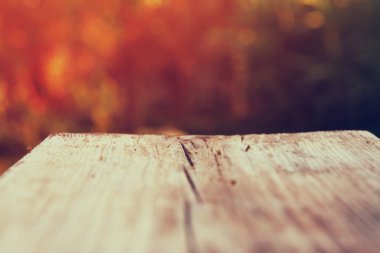 rustic wood table in front of autumnal blurred background. filtered image.  product display and picnic concept. selective focus.