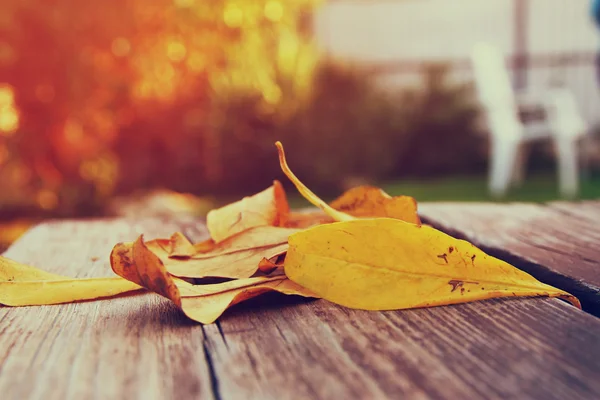 Vista dall'alto immagine di autunno foglie sopra tavolo di legno . — Foto Stock