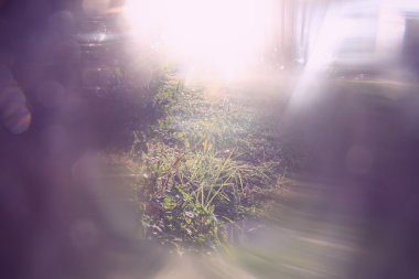 ışık patlaması ve glitter bokeh ışıklar bulanık soyut fotoğraf. görüntü filtre ve dokulu.