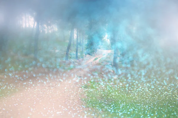 Abstract wazig dromerige mysterie fairy bossen en glitter bokeh lichten. gefilterde afbeelding en bitmappatroon. — Stockfoto