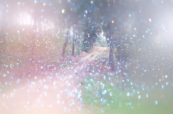 Abstract blurred dreamy mystery fairy woods and glitter bokeh lights. filtered image and textured. — Stock Photo, Image