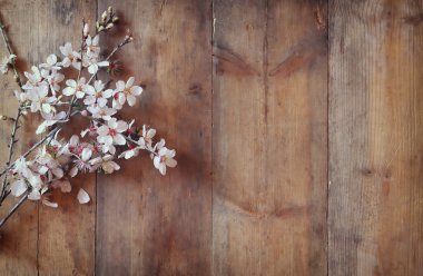 bahar beyaz kiraz çiçekleri ağacı ahşap masa görüntü