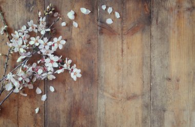 bahar beyaz kiraz çiçekleri ağacı ahşap masa görüntü