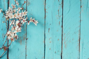 image of spring white cherry blossoms tree on blue wooden table. vintage filtered image clipart