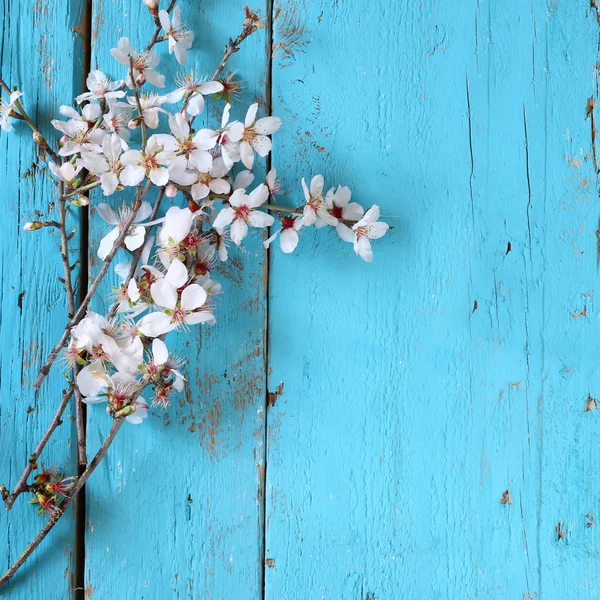 Mavi ahşap masa üzerinde beyaz kiraz çiçekleri ağaç bahar görüntüsü. Vintage filtre uygulanmış görüntü