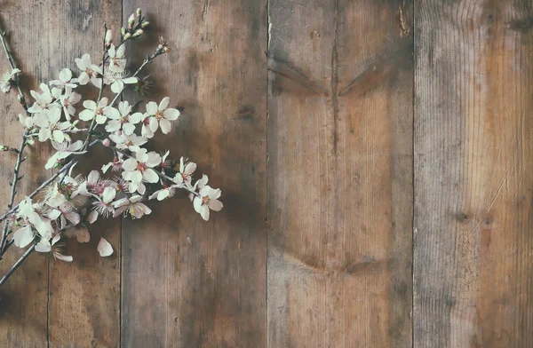 Bahar beyaz kiraz çiçekleri ağacı ahşap masa görüntü — Stok fotoğraf