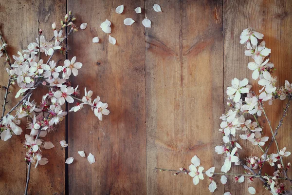 Изображение весеннего белого цветения вишни на деревянном столе — стоковое фото