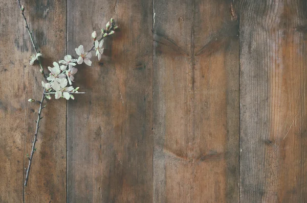 Bild des Frühlings weiße Kirschblüten Baum auf Holztisch — Stockfoto