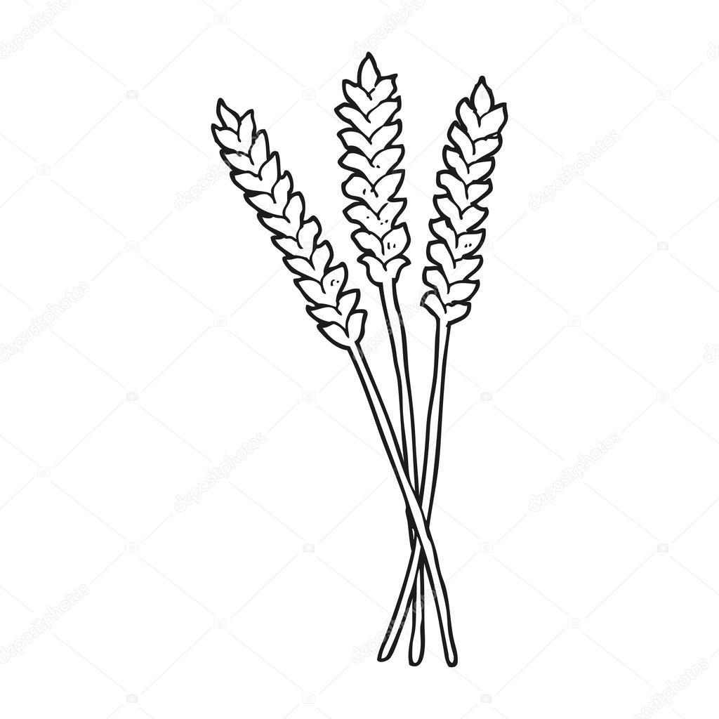Black and white cartoon wheat Stock Vector by ©lineartestpilot 101467944, image size:1024x1024