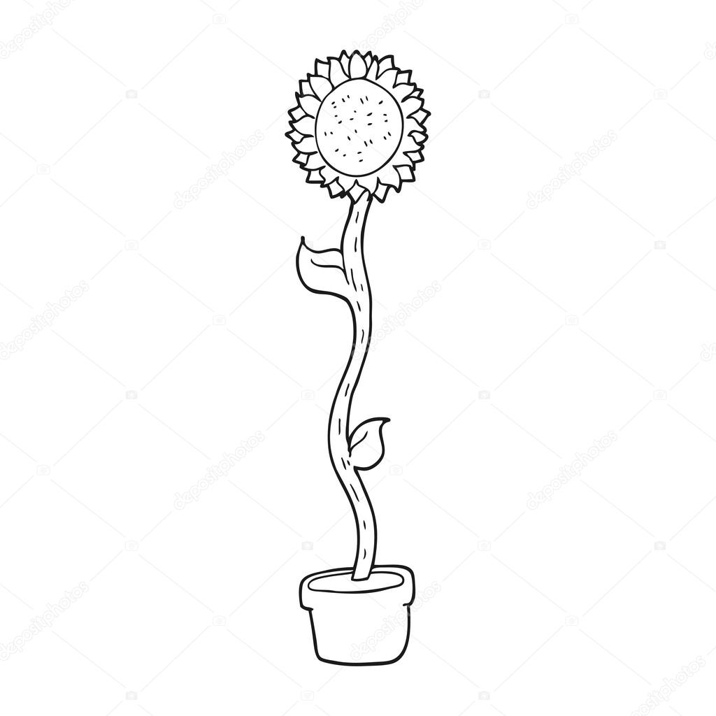 Disegnato a mano libera girasole bianco e nero del fumetto — Vettoriali di lineartestpilot Trova immagini simili