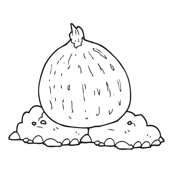 Czarno-biały rysunek squasha — Wektor stockowy