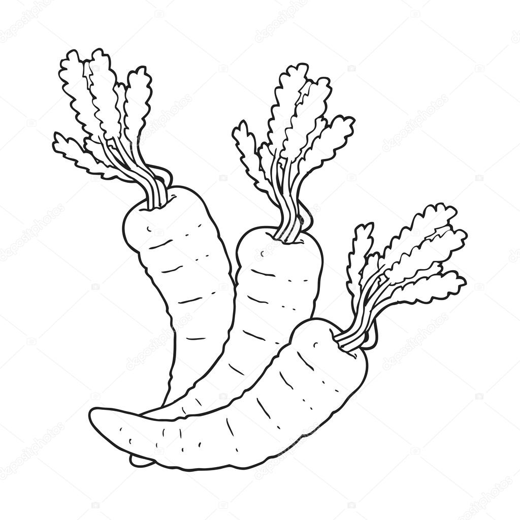 Black and white cartoon carrots Stock Vector by ©lineartestpilot 101551656, image size:1024x1024