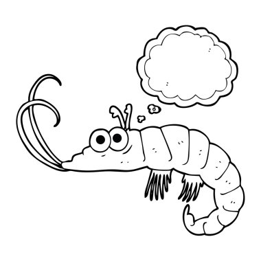 kabarcık karikatür karides sanıyordum