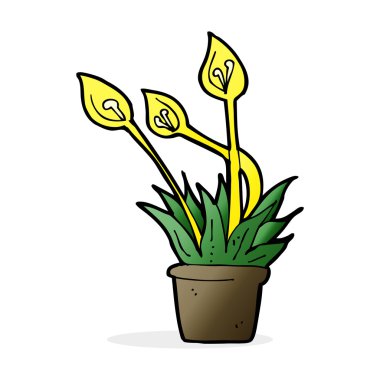 çizgi film orkide bitkisi