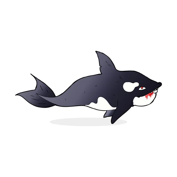 Cartoon killer whale — Stock Vector