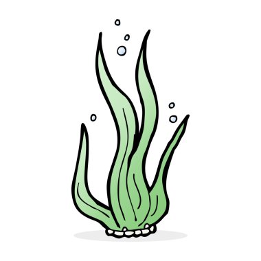 Deniz yosunu karikatür çizimi