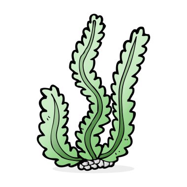 Deniz yosunu karikatür çizimi