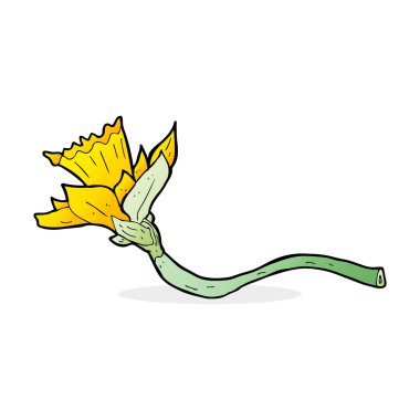 karikatür nergis çiçeği