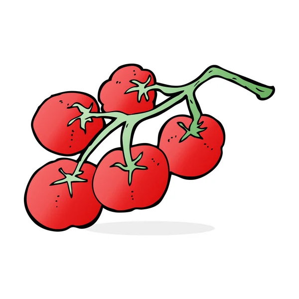 Tomates en la ilustración de la vid — Vector de stock