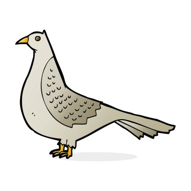 kuş çizgi film gösterimi