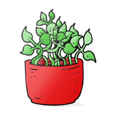 çizgi film ev bitkisi