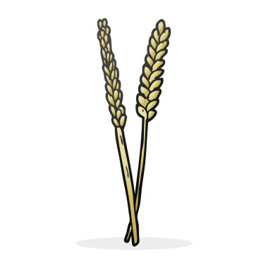 serbest çizilmiş karikatür Mısır