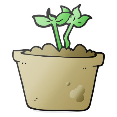 bitki çimlenme çizgi film