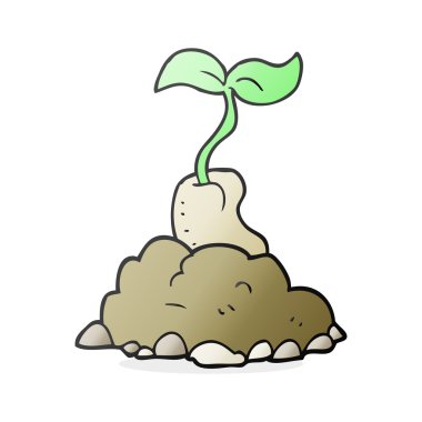 tohum çimlenme çizgi film