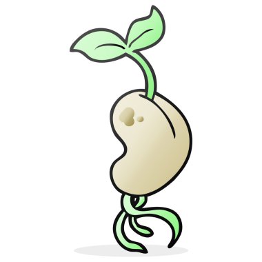 tohum çimlenme çizgi film