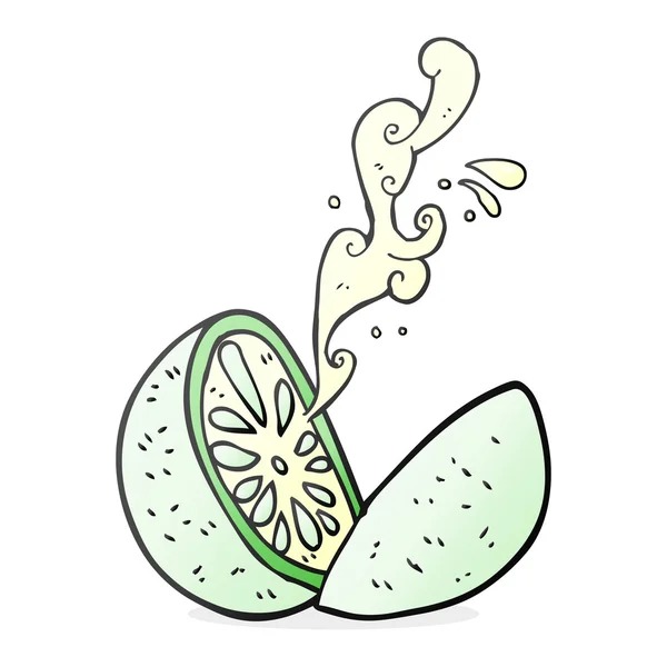 Melón dibujado a mano alzada — Vector de stock