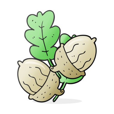 serbest çizilmiş karikatür meşe palamutları