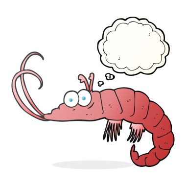 kabarcık karikatür karides sanıyordum