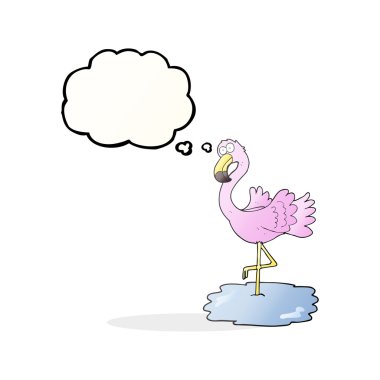 kabarcık karikatür flamingo sanıyordum